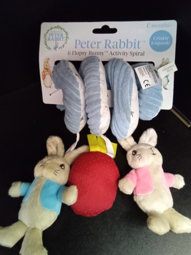 Peter rabbit 2024 activity spiral