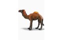 Thumbnail of collecta-dromedary-camel-figure_617060.jpg