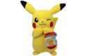 Thumbnail of pok--mon-8--plush-pikachu_416480.jpg