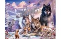 Thumbnail of wolves-in-the-snow--------2000_549262.jpg