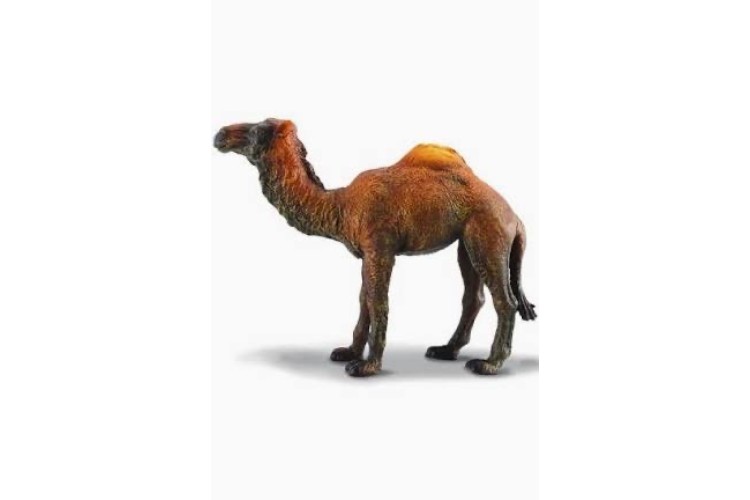 CollectA Dromedary Camel Figure 