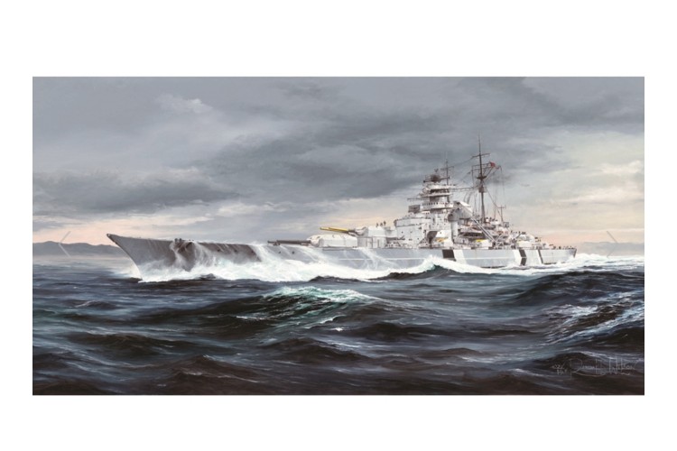 Trumpeter German Bismarck Battleship 1:350 scale kit model 